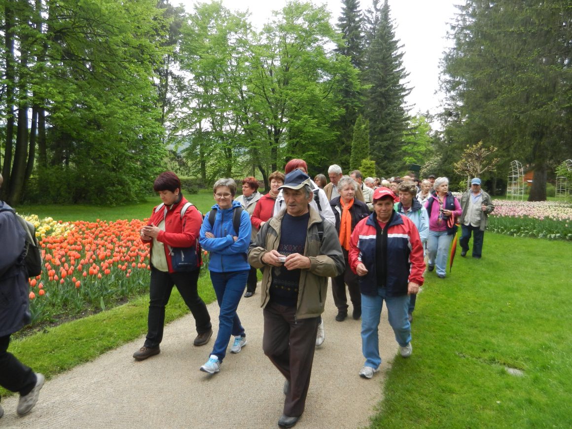 Pohodništvo, izleti in druženja ter samopomoč