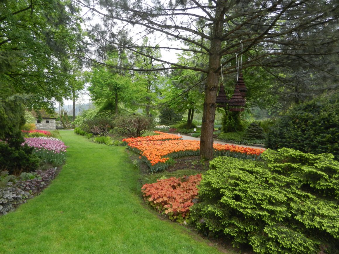 Pohodništvo, izleti in druženja ter samopomoč